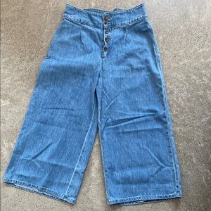 Hollister Blue Flare Wide-Leg Jeans High-Waisted